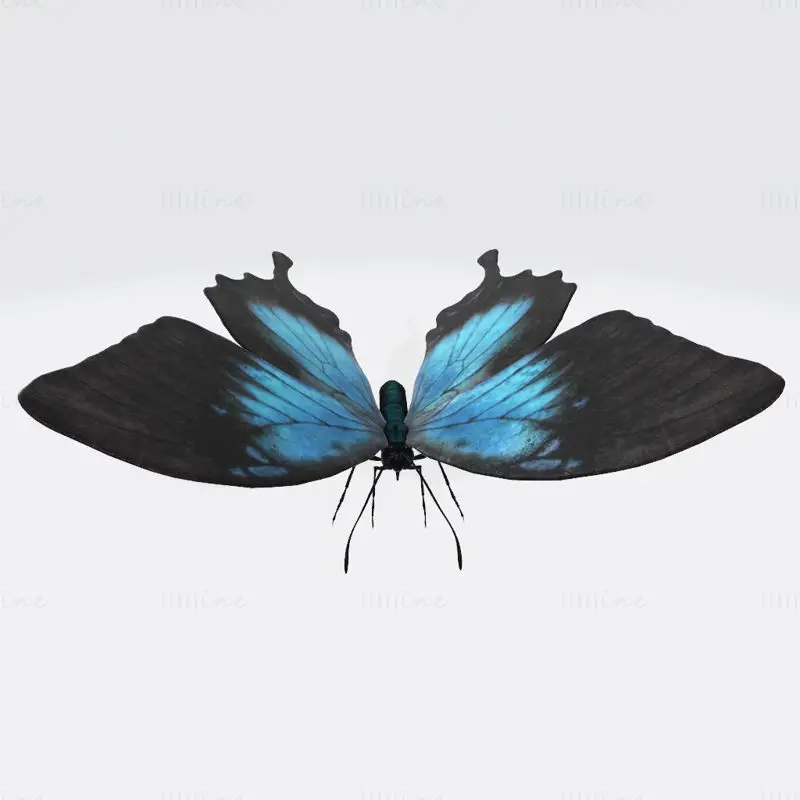 Modelo de impresión 3D de la mariposa Ulises