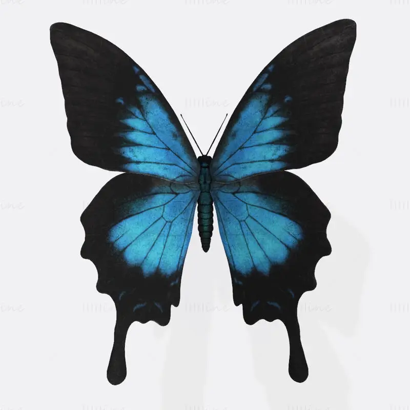 Modelo de impresión 3D de la mariposa Ulises