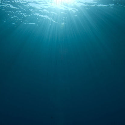 okyanus güneş ışığı resminin altında