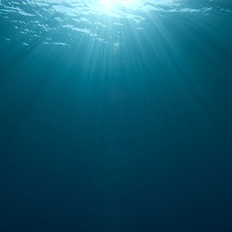 Sotto l'immagine della luce del sole dell'oceano