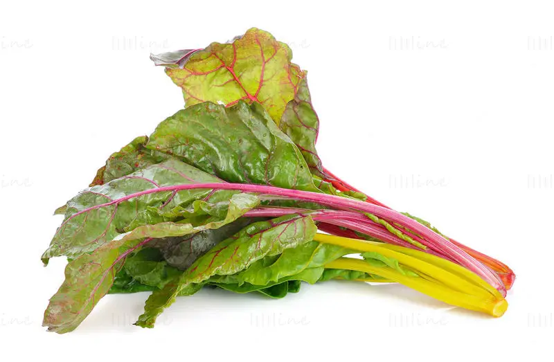 Vegetable beet photo