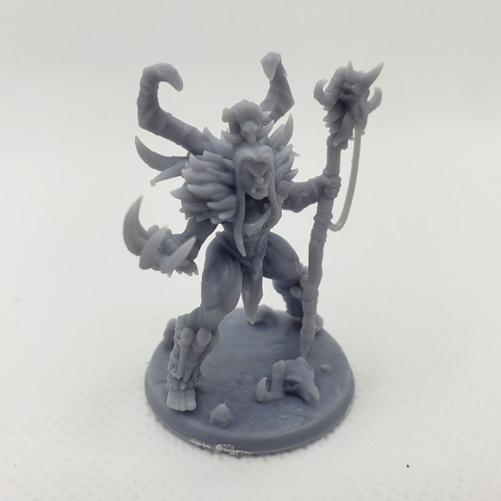 Vesdra the Shaman - Lady Orc Shaman 3D Printing Model STL