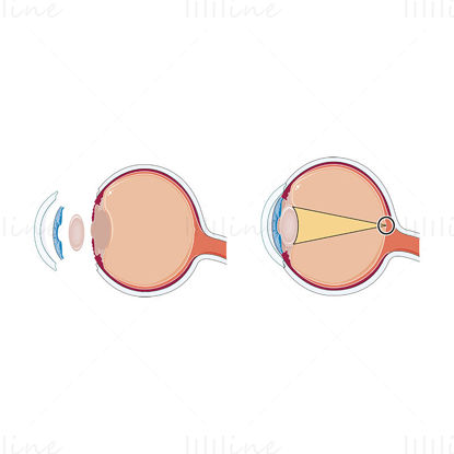 Vision vector illustration, Ophtalmology