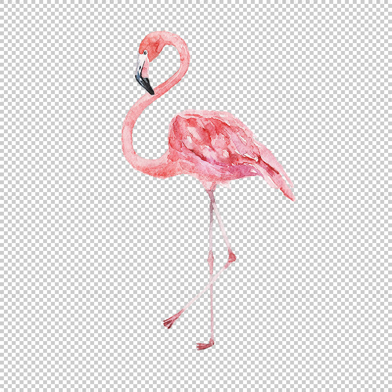 Watercolor flamingo png