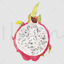 Acuarelă pitaya png