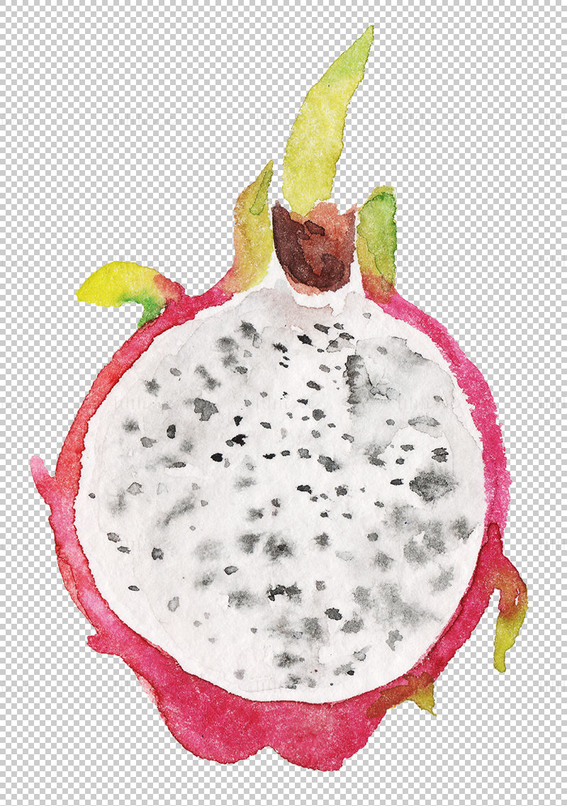 Watercolor pitaya png