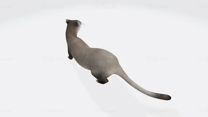 Figura de animal comadreja modelo de impresión 3D STL