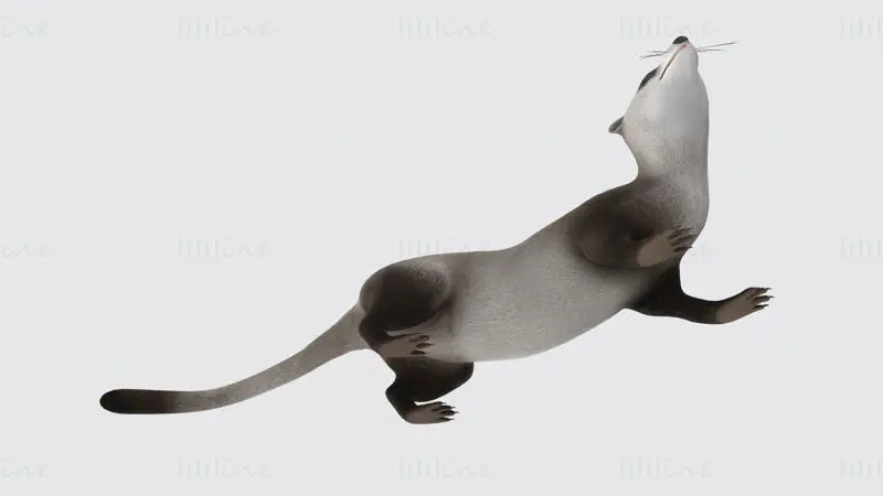 Figura de animal comadreja modelo de impresión 3D STL