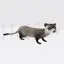 Weasel Animal Figure 3D Print Model STL
