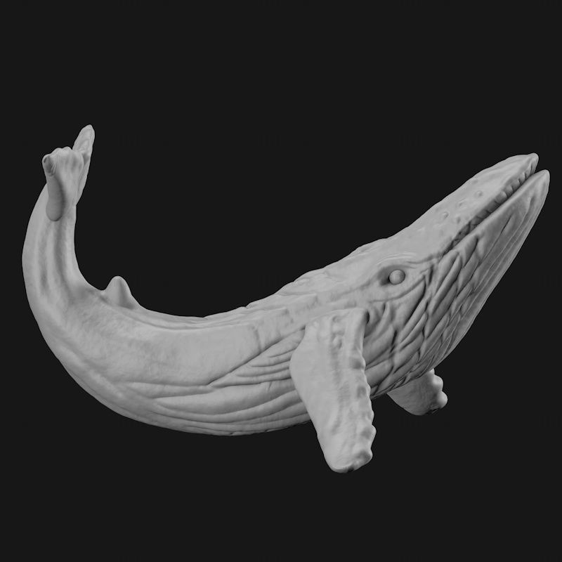 مدل چاپ سه بعدی نهنگ STL