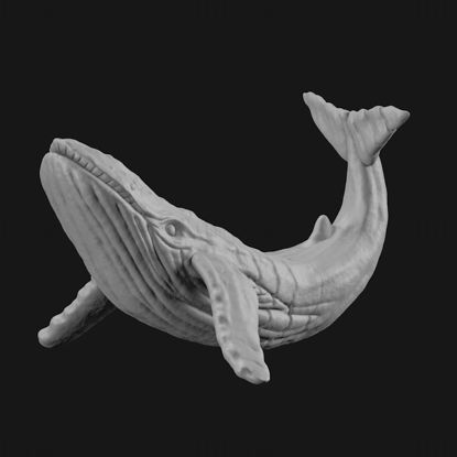 نموذج طباعة الحوت ثلاثي الأبعاد STL