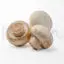 White mushrooms image