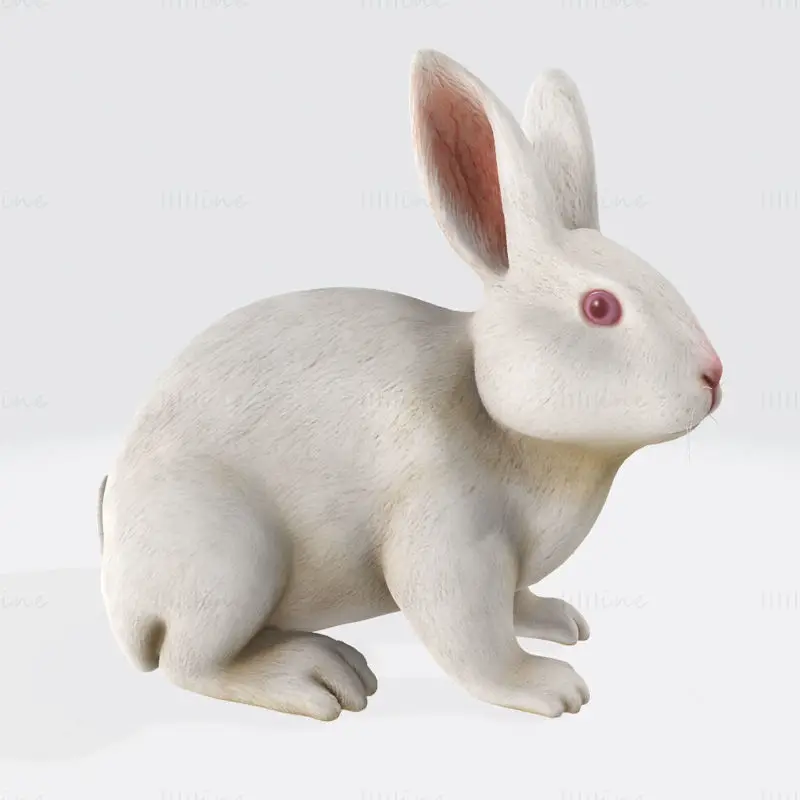 Modelo de impresión 3D de conejo blanco
