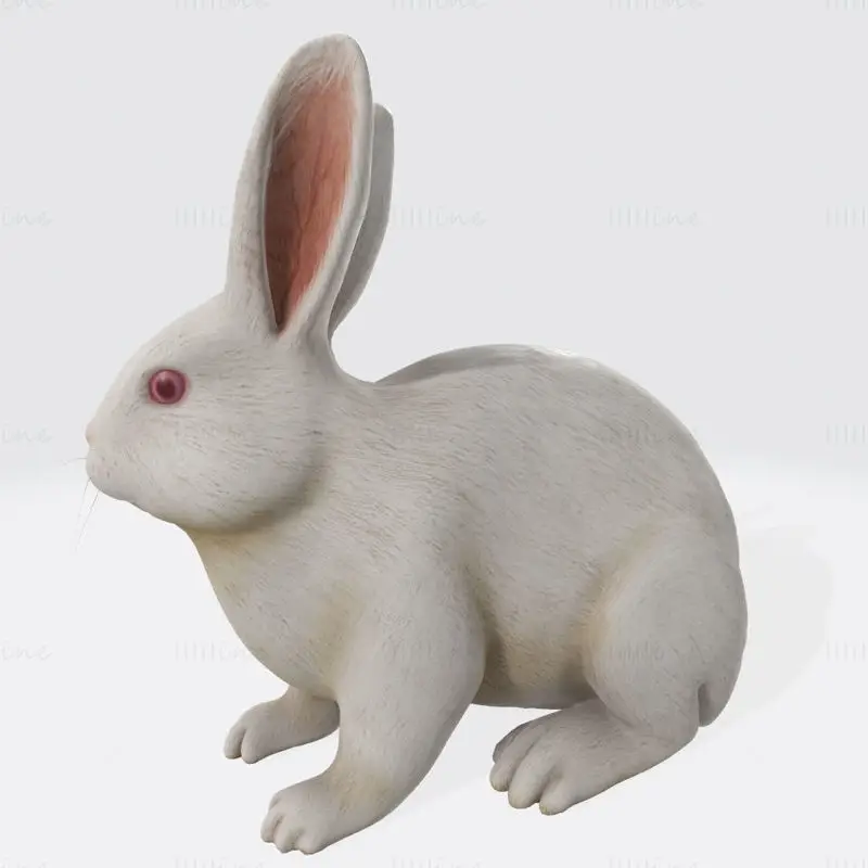 3D печатен модел на бял заек