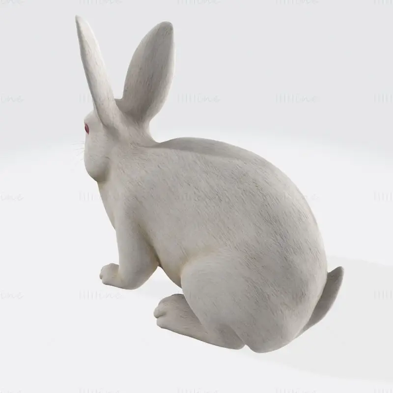 3D печатен модел на бял заек