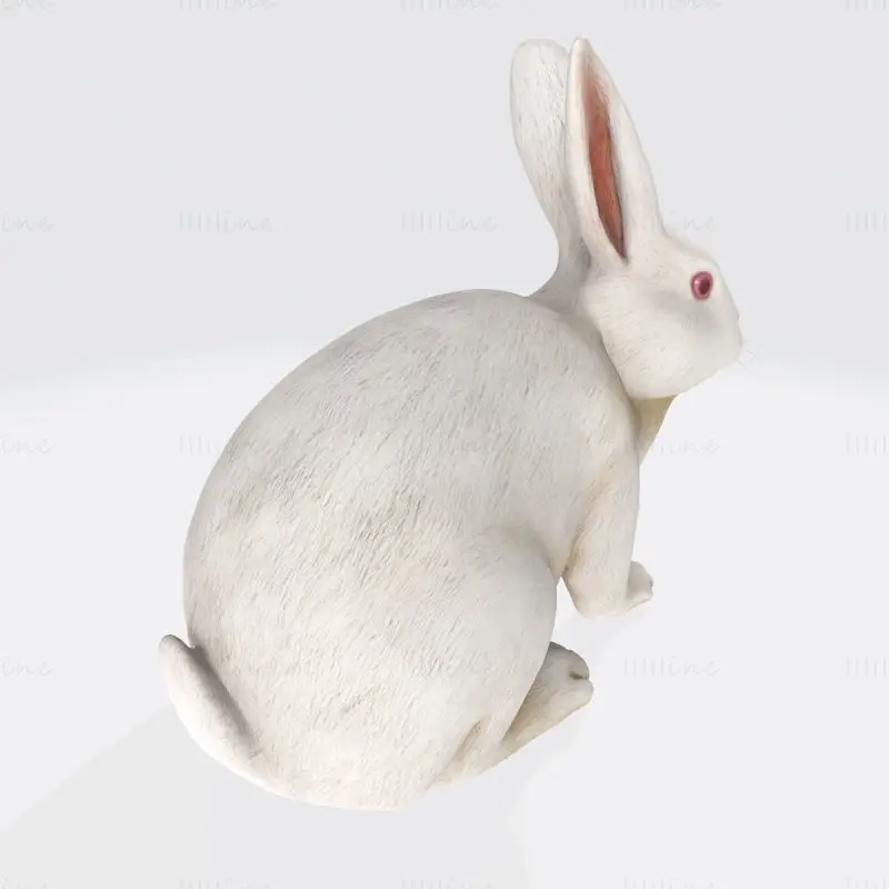 Weißes Kaninchen 3D-Druckmodell