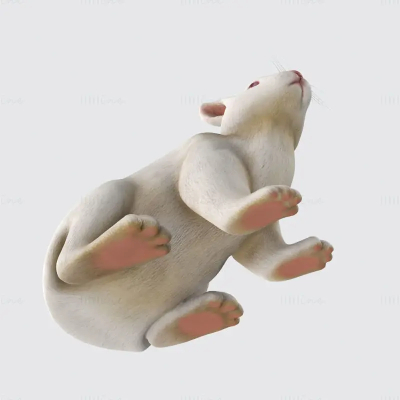 مدل پرینت سه بعدی خرگوش سفید