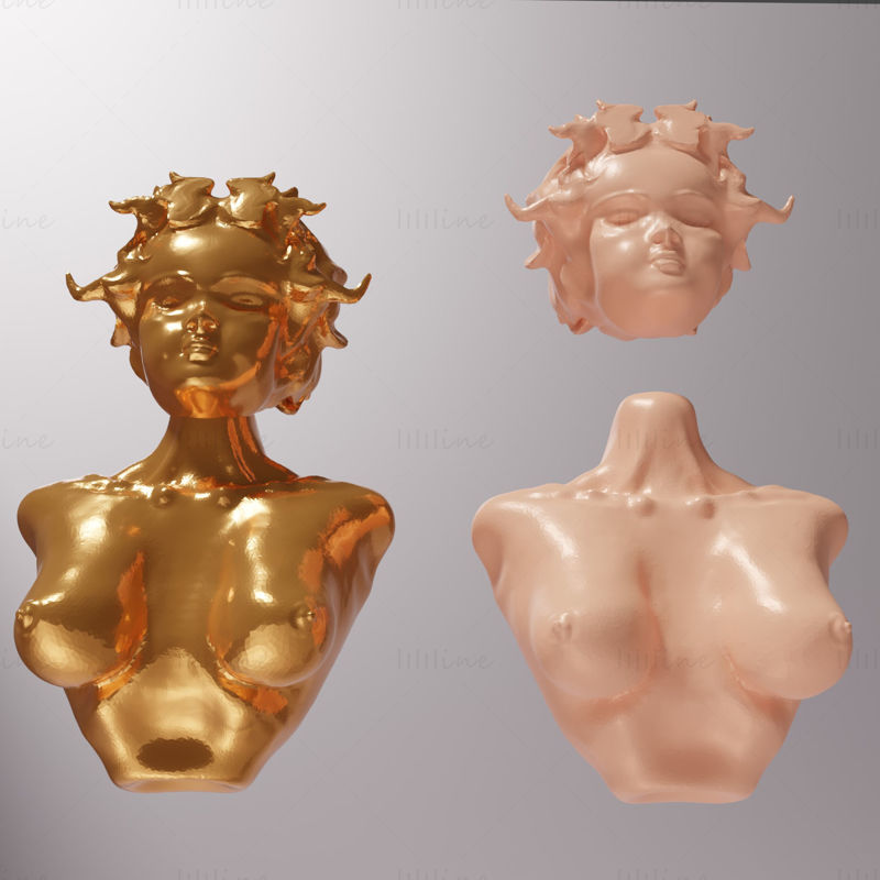 Női mellszobor és fej 3D-s modell