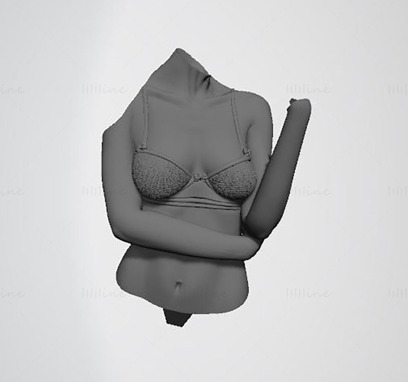 Mujer Maravilla 1984 Modelo de impresión 3D STL