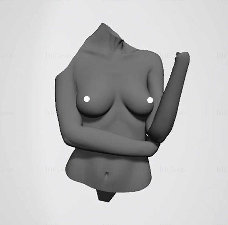 Mujer Maravilla 1984 Modelo de impresión 3D STL