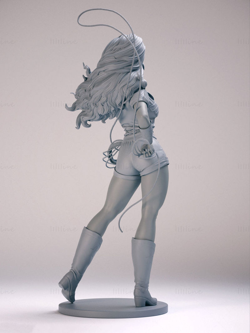 Wonder Woman-Super Girl 3D Model Ready to Print STL