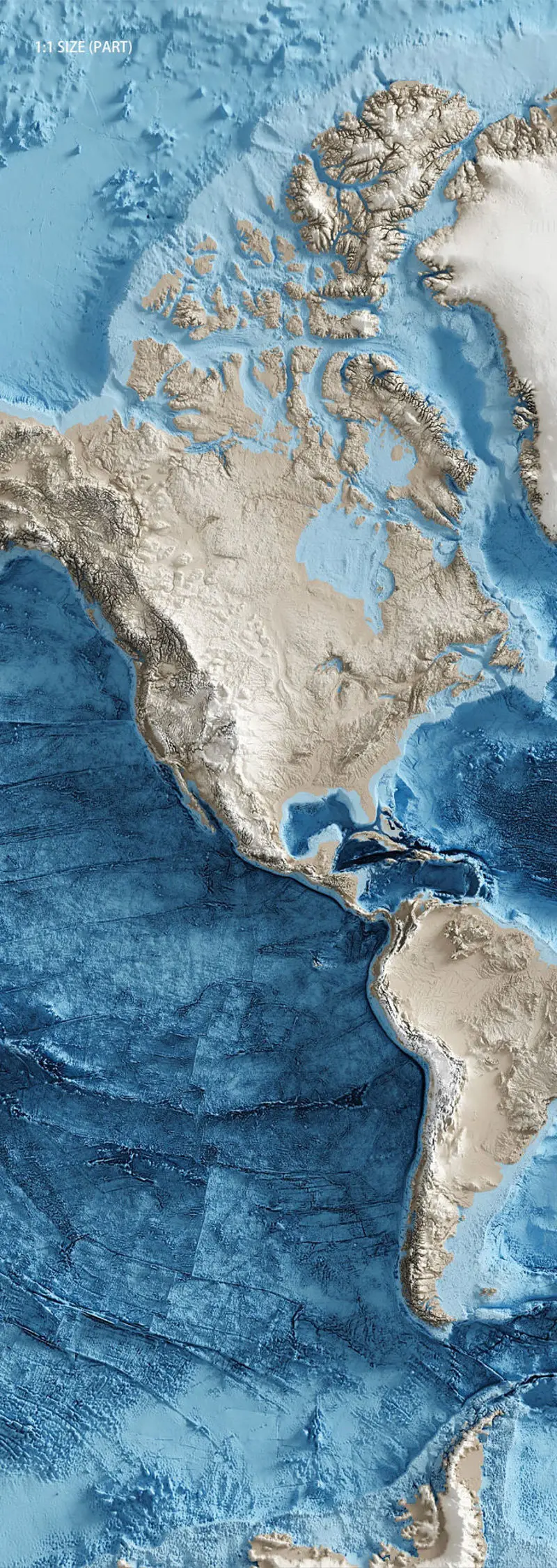 Wereld topografische kaart van land en oceaan