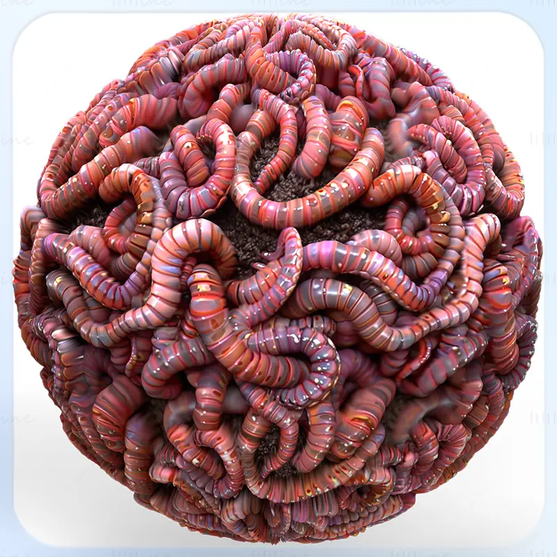 Worm Seamless Texture