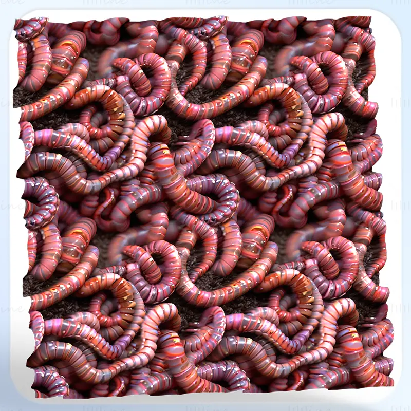 Worm Seamless Texture