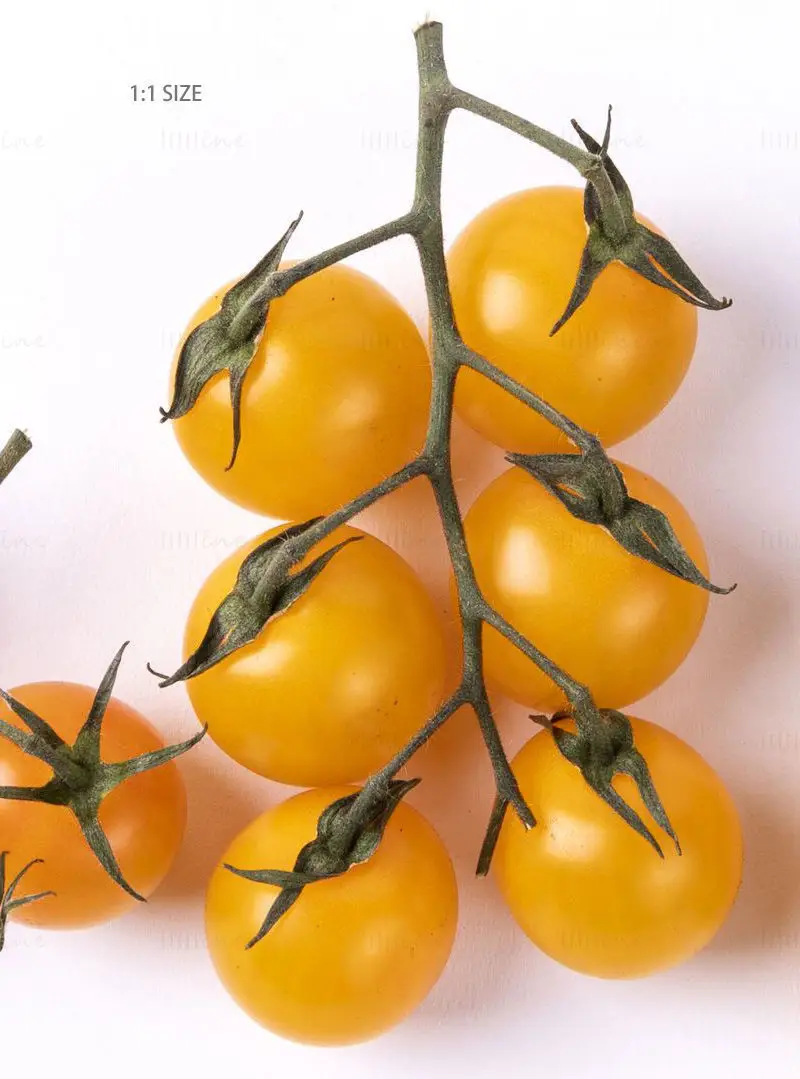 Image de tomate cerise jaune