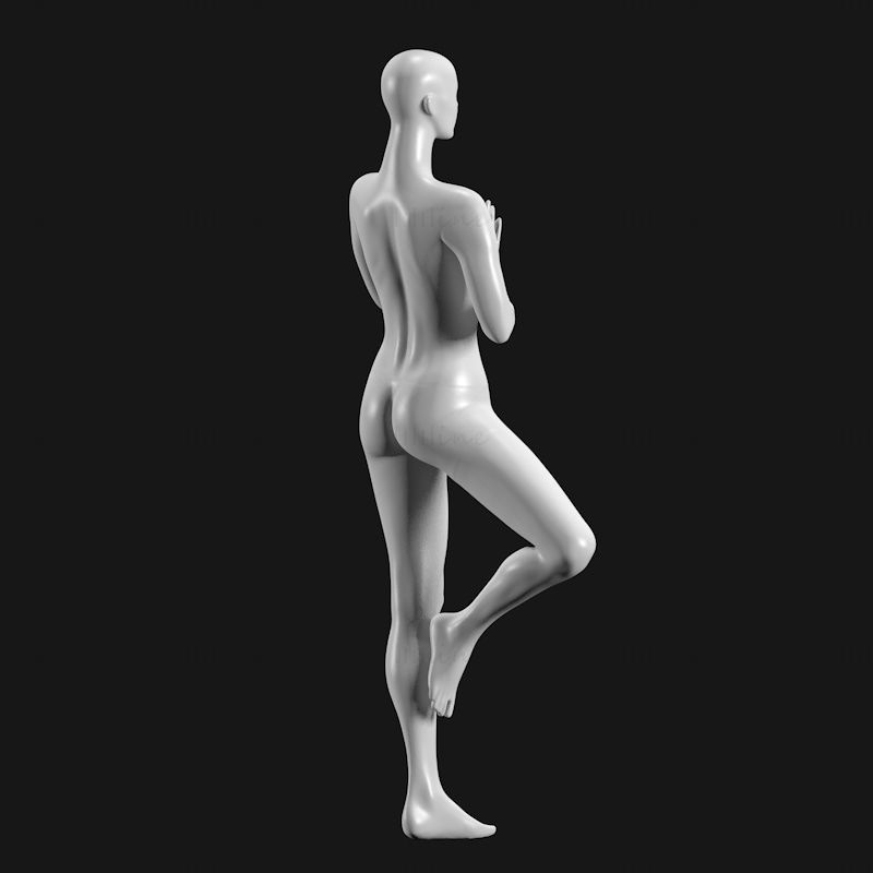 Yoga Tree Pose Mannequin 3D-printmodel STL