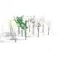 Young Cherry Trees 3D Model