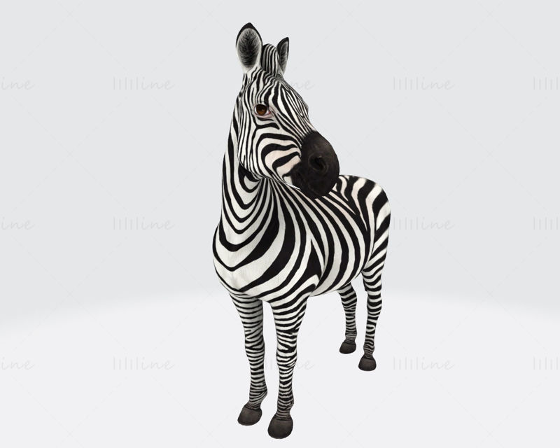 Zebra 3D Printing Model