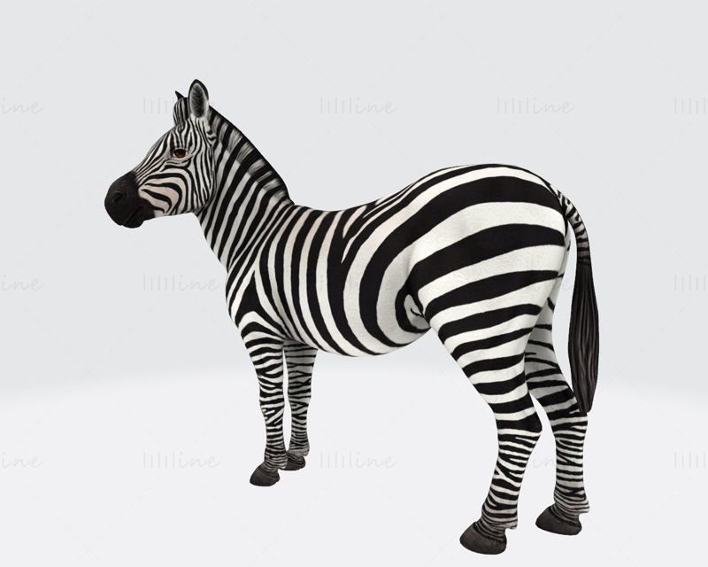 Zebra 3D Printing Model