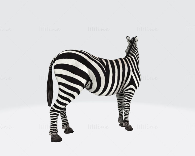 Zebra 3D Printing Model