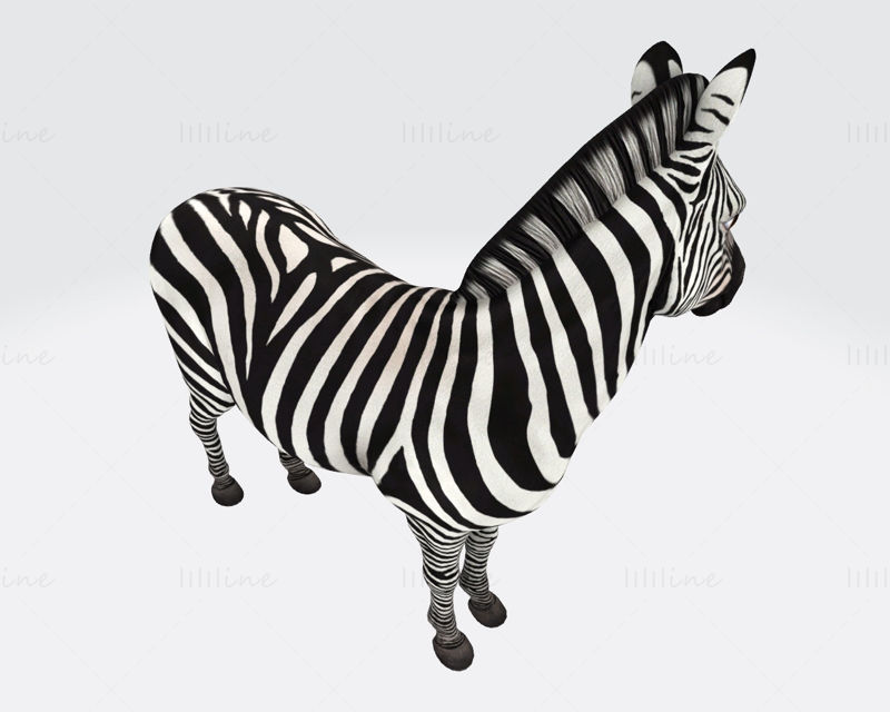 Zebra 3D Printing Model