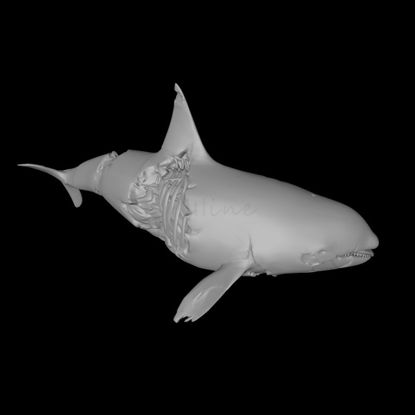 Modelo de impresión 3d de orca zombie