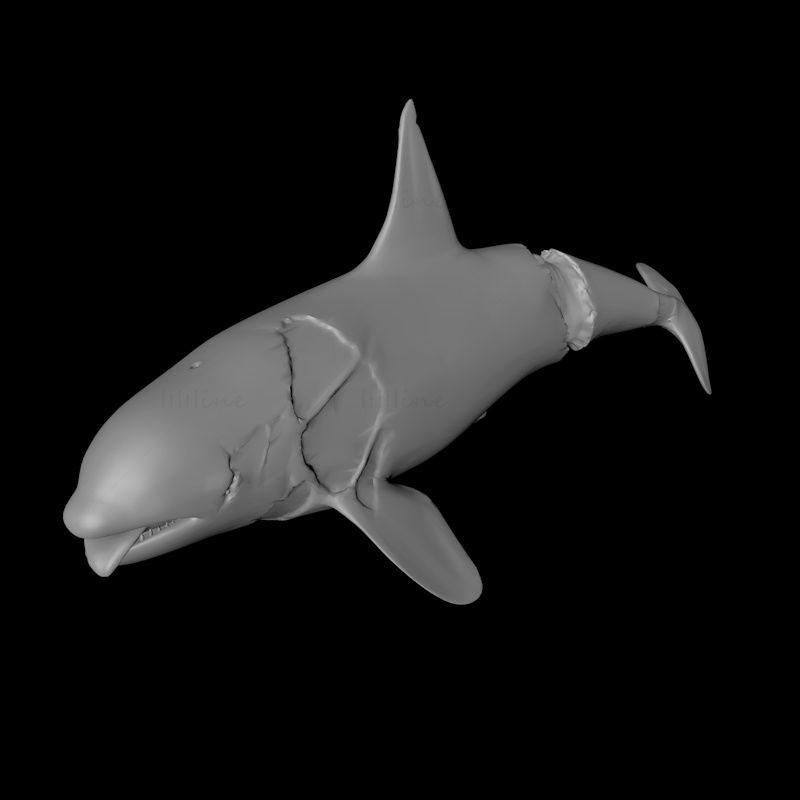 Modelo de impresión 3d de orca zombie